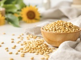Bienfaits insoupçonnés des graines de tournesol sur votre cœur et votre santé
