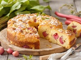 Gâteau à la rhubarbe de grand-mère traditionnel