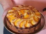 Gâteau aux abricots et aux amandes