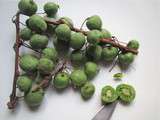 Kiwaï de Sibérie : testé ce délicieux mini-kiwi (ou bébé kiwi) pas plus gros qu'une mirabelle