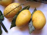 Merveilleuses pommes de terre vapeur de Cyril