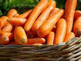 Produit chouchou de la semaine : la carotte