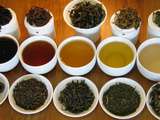 Bienfaits du thé sur la santé– Les vertus de chaque famille de thé