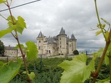 Dégustation de vin de Saumur : 3 caves & domaines emblématiques