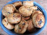 Petits biscuits francomtois
