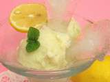 Sorbet citron-yaourt-basilic sans sorbetière {Foodista Challenge #9}