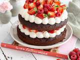 Layer cake vegan au chocolat et fruits rouges
