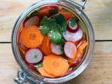 Pickles de radis et carottes