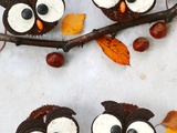Cupcakes chouettes
