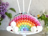Gâteau arc-en-ciel Smarties