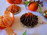 Bâtonnets d'écorces de mandarines confites au chocolat