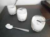 Sorbet au mangoustan et lait de coco (sans sorbetière)