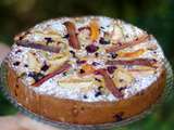 Gâteau Moelleux aux Fruits d’Été & Rhubarbe Confite à l’Hibiscus