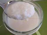 Comment préparer la purée de coco soi-même