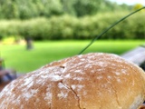 Burger de filet de poisson croustillant