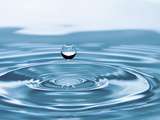Binchotan purifier l’eau naturellement