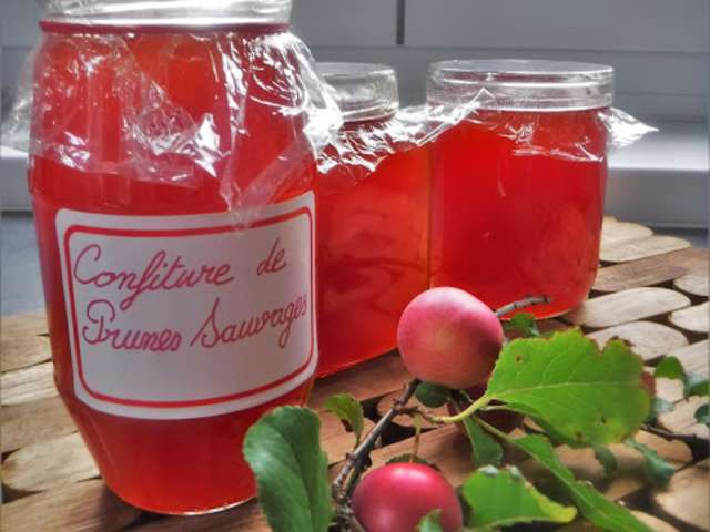 Recettes De Confiture De Prunes Sauvages