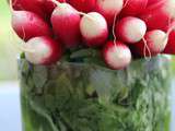 Pour conserver des radis frais et croquants