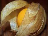 Sorbet citron - du pain sur la planche.....ou nourrir sa tribu