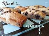 Mini Cakes Gourmands - Marrons Coco