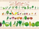 Joli calendrier pour respecter les saisonnalités des fruits et légumes