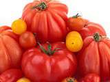 Tomate fait son gaspa(show)