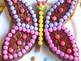 Gâteau d’anniversaire en forme de papillon