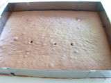 Gâteaux châteaux de sable pour l'anniversaire de mon petit Maxime:biscuit chocolat/mousse au chocolat;biscuit citron vert/mousse mangue-passion-ananas;biscuit vanille/bavaroise vanille-framboises