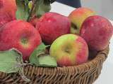 Pomme Ariane : une pomme juteuse, croquante, sucrée et acidulée