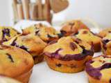 Muffins Myrtille / Noix de Pécan