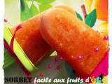 Sorbet Facile aux fruits d’été & Sirop de Coquelicot