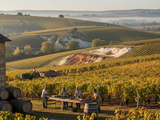 Comment se construit un grand vin de Bourgogne