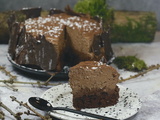 Gâteaux mousseux au chocolat