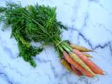 Tout est bon dans les carottes