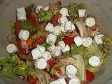 Salade d'été fraîcheur