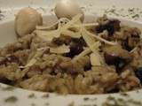 Risotto aux champignons sauvages et parmesan