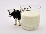 Pourquoi arrêter le lait de vache
