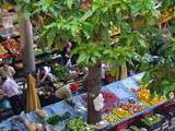 Légumes, fruits, poissons au Marché de Funchal