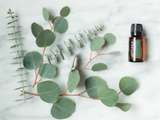 Doterra eucalyptus huile essentielle – utilisation et bienfaits