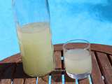 Citronnade (Thermomix)