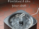 Fontaine à chat
