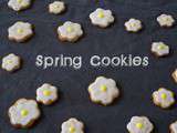 Spring cookies ideas / Mes biscuits de printemps