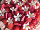 Charlotte aux framboises