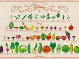 Calendrier des fruits et légumes de Septembre