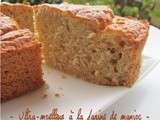 Ultra -moelleux à la farine de manioc (gâteau sans gluten)