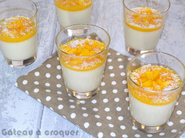 Recettes De Panna Cotta De G Teau Croquer