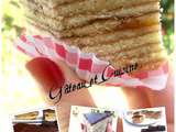 Layer Cake Schichttorte / gâteau 20 couches