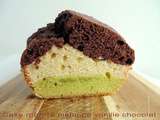 Cake marbré pistache vanille chocolat