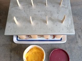 Crème glacée mangue au compact cook pro