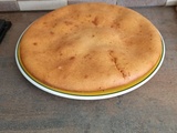 Gâteau vite fait bien fait au combi Ninja